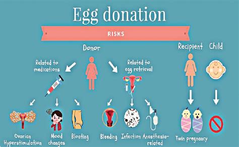 egg donation side effects long term.